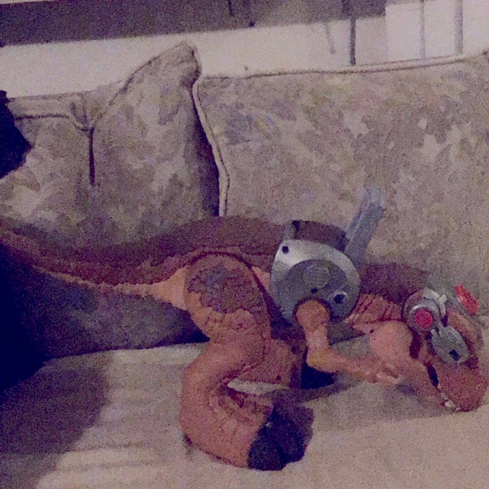 T Rex